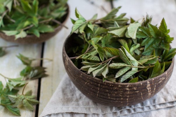 Oil-Free Ground Elder Pesto with Pine Nuts, Vegan