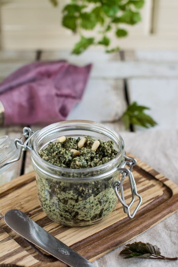 Oil-Free Ground Elder Pesto with Pine Nuts, Vegan