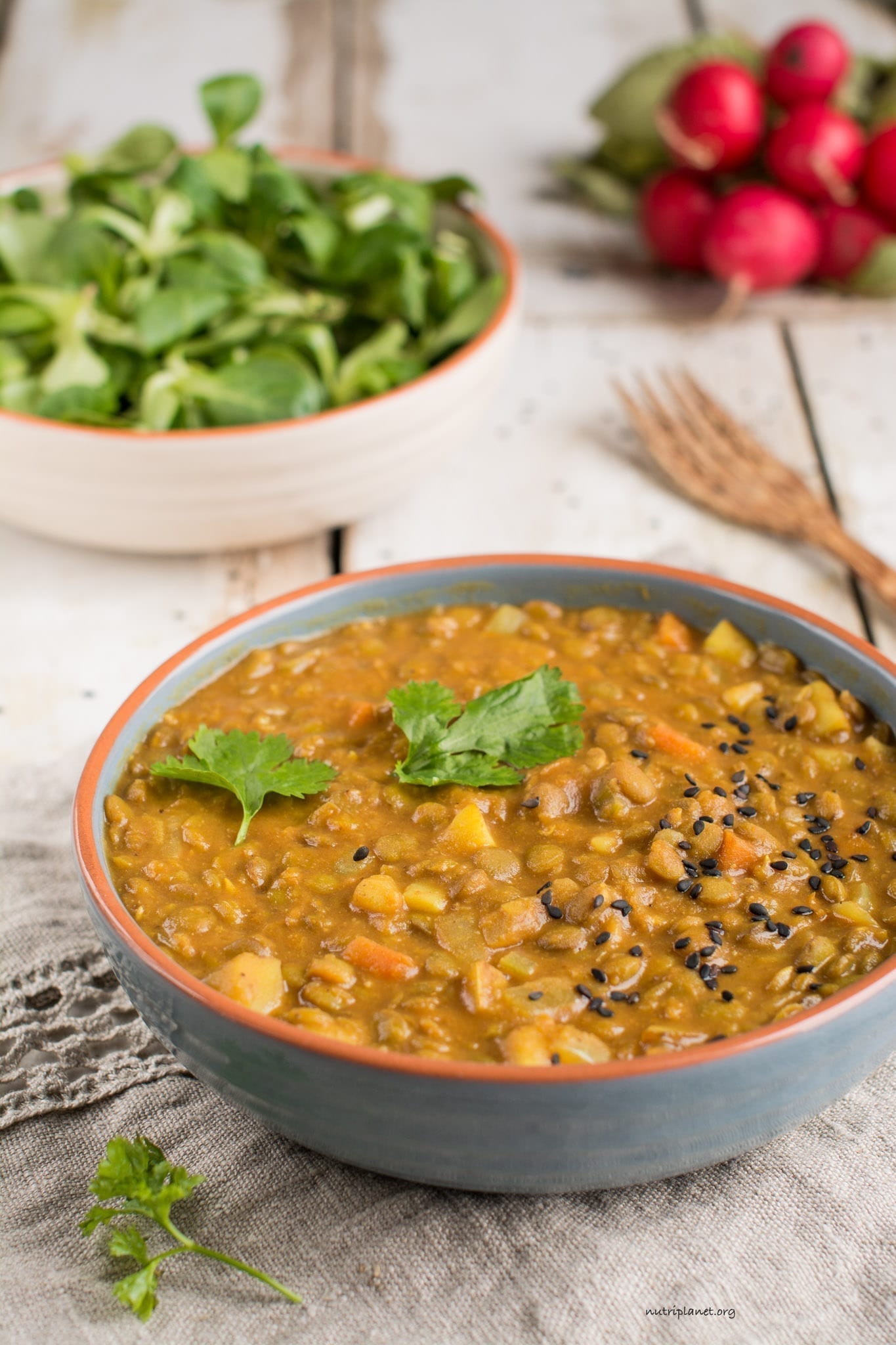 Vegan Lentil Stew with Tomatoes [Gluten-Free] | Nutriplanet