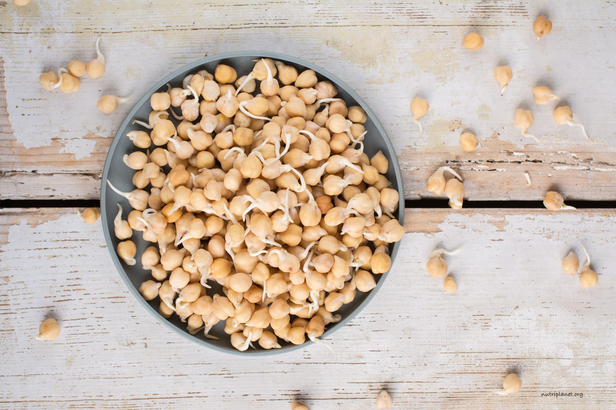 Beyond Hummus: Why the Chickpea Could Be the Most Sought-After