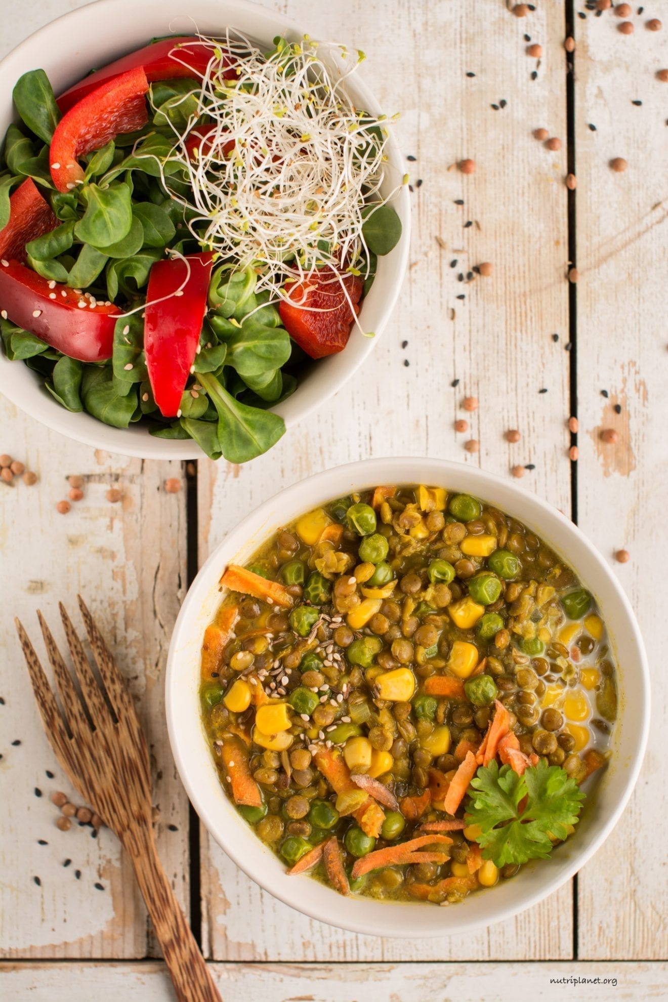 Vegan Stew with Lentils, Green Peas and Corn [Gluten-Free] | Nutriplanet