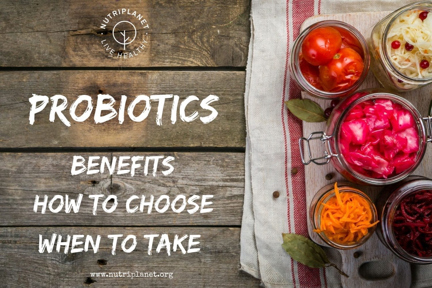 probiotics-benefits-how-to-choose-when-to-take-safety-nutriplanet