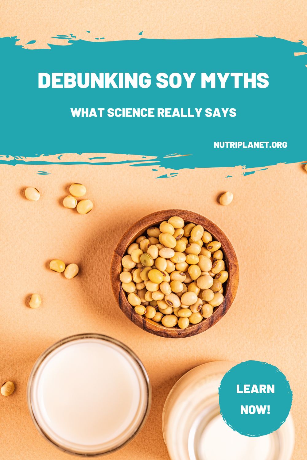 Debunking soy myths: what science says about soy growing men boobs and contributing to breast cancer, deforestation, and GMO concern.