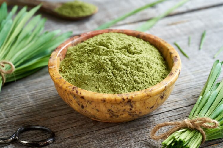 A bowl of green barley grass powder with fresh barley leaves on a rustic wooden table, highlighting the benefits of barley grass powder for health.